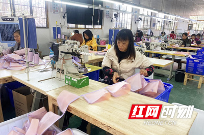 東安縣:激活"微工廠" 鄉村經濟"熱辣滾燙"